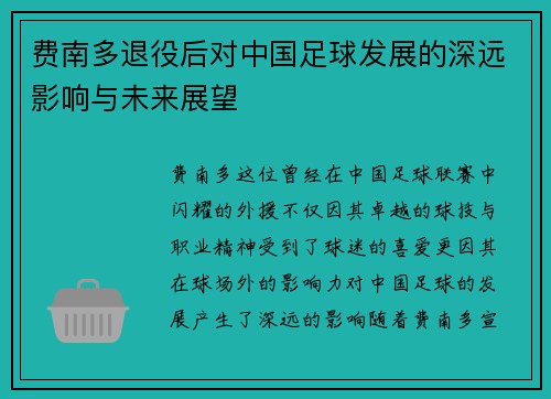 费南多退役后对中国足球发展的深远影响与未来展望